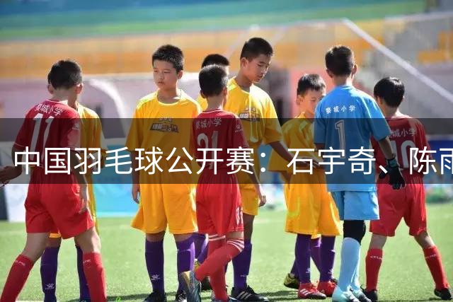 中国羽毛球公开赛：石宇奇、陈雨菲晋级16强-国际在线