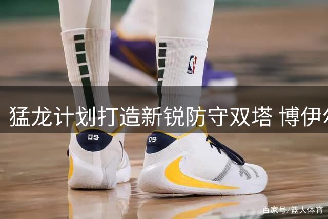 猛龙计划打造新锐防守双塔 博伊尔斯与格雷夫斯将成替补奇兵