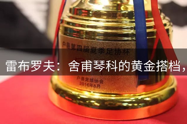 雷布罗夫：舍甫琴科的黄金搭档，从欧洲之星到英超失意人的传奇人生